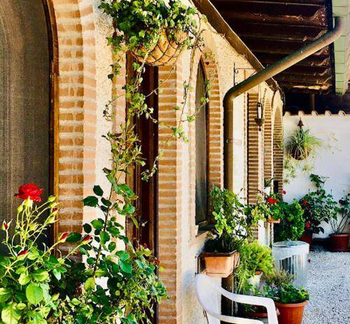 Lake Garda Bed & Breakfast | 10000 m² Bed and breakfast ∙ 3 guests