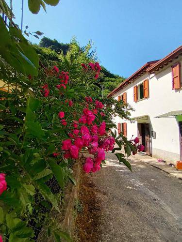 Fabbriche di Vergemoli House | 120 m² House ∙ 4 bedrooms ∙ 8 guests