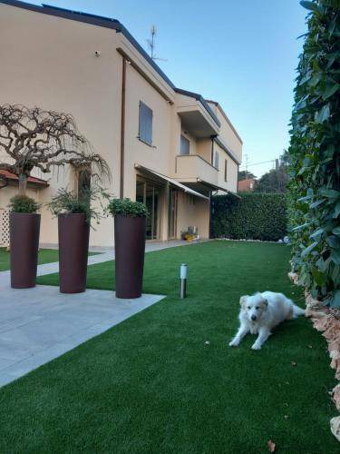 Imola Bed & Breakfast | 14 m² Bed and breakfast ∙ 2 guests