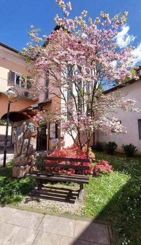 Mezzomerico Bed & Breakfast | 20 m² Bed and breakfast ∙ 3 guests