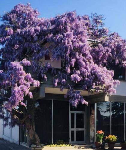 Cona Bed & Breakfast | 28 m² Bed and breakfast ∙ 5 guests