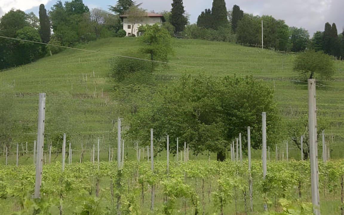 Manzano House | 30 m² Farmhouse ∙ 4 guests