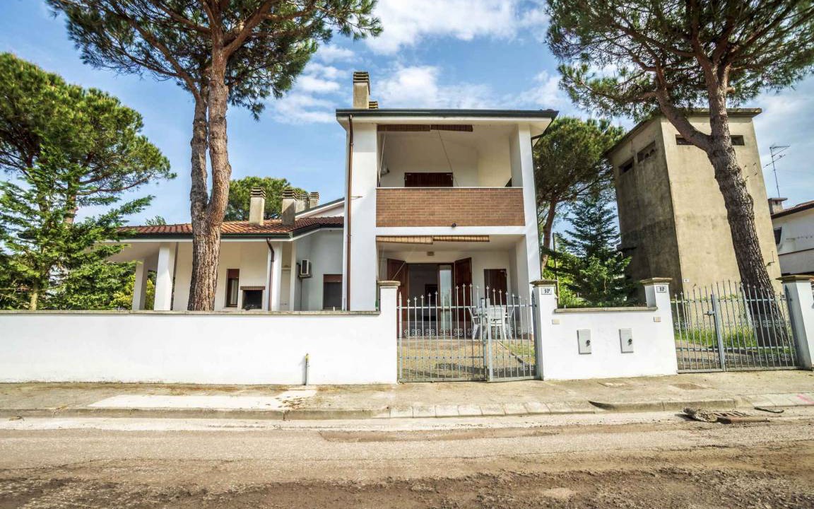 Pino | Lido di Volano