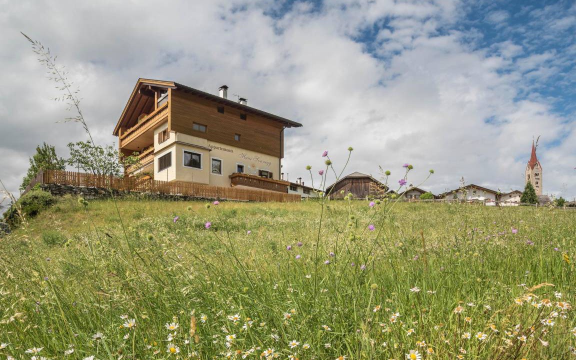 Albions Apartment | 50 m² Apartment ∙ 1 bedroom ∙ 2 guests