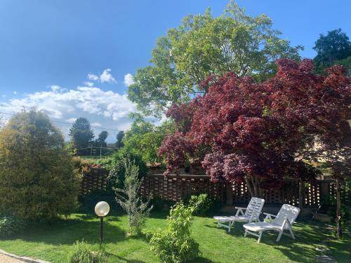 Viverone Bed & Breakfast | 65 m² Bed and breakfast ∙ 2 bedrooms ∙ 3 guests