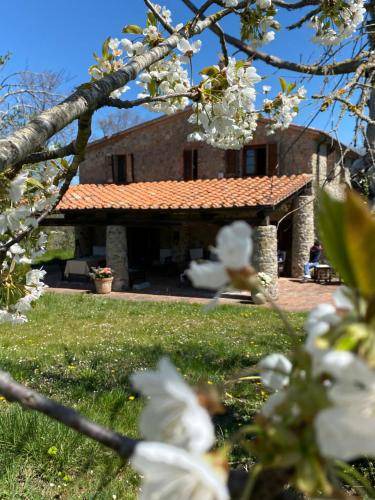 Massa Marittima Apartment | 74 m² Apartment ∙ 2 bedrooms ∙ 6 guests