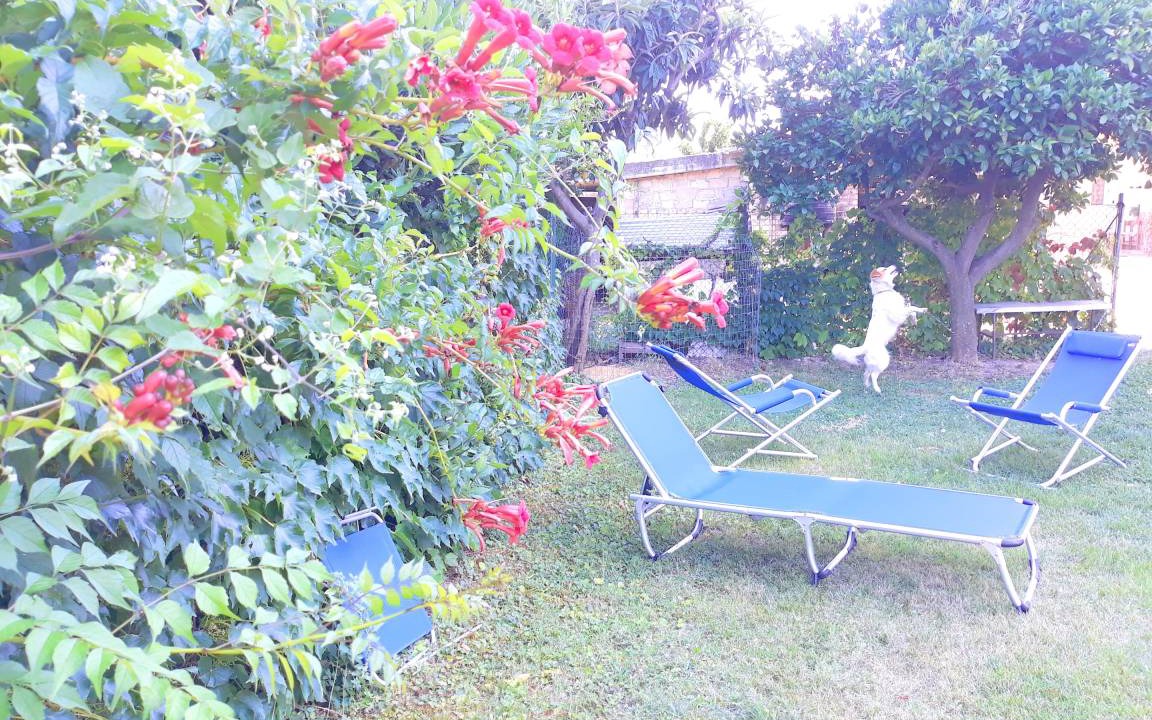 Canosa Sannita Apartment | 80 m² Apartment ∙ 2 bedrooms ∙ 4 guests