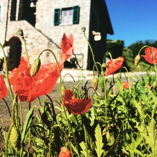 Beverino Bed & Breakfast | Agriturismo Angiò nel Cerè