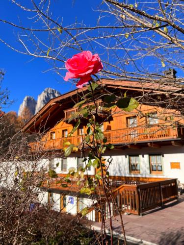 Taibon Agordino House | Agriturismo Busa dei Sbrase