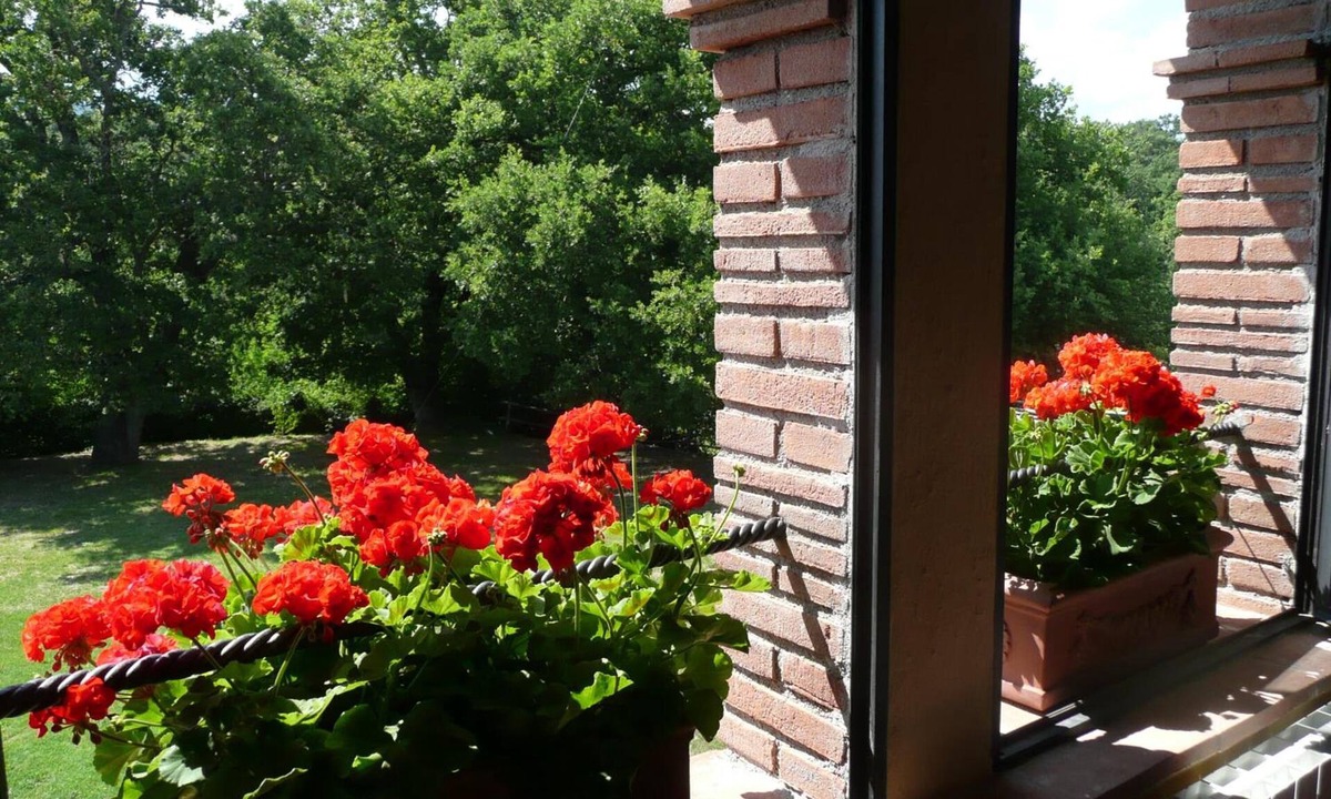 Montieri Other | Agriturismo Colli di Travale