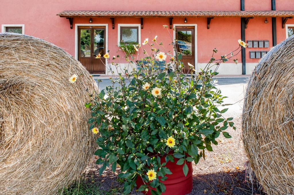 Guidonia Montecelio House | Agriturismo La Meridiana