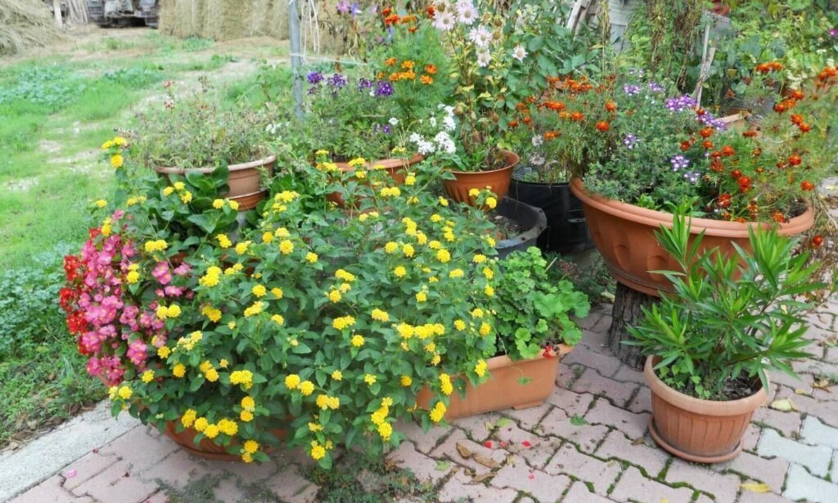 Preci Other | Agriturismo Monti Sibillini Camperato