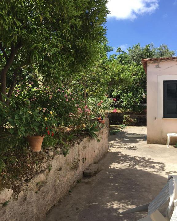 Ischia Ponte Apartment | Al Giardino