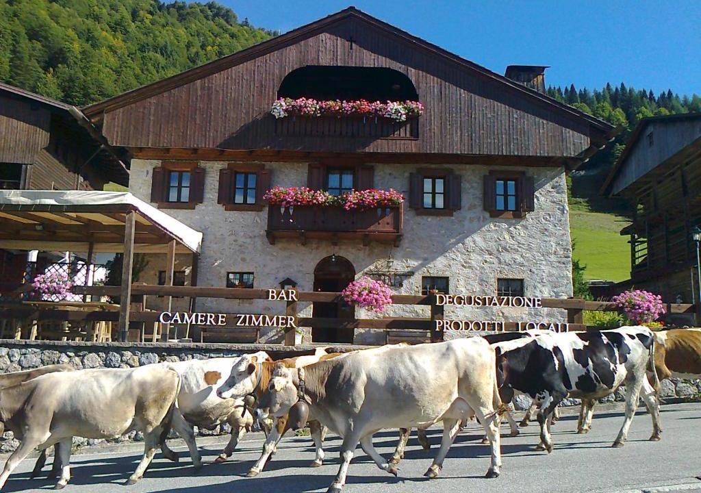 Lateis Bed & Breakfast | Albergo Pa' Krhaizar
