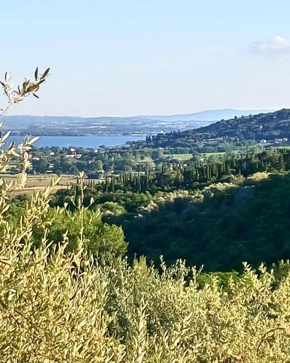 Tuoro sul Trasimeno Apartment | Appartamento Coccinella