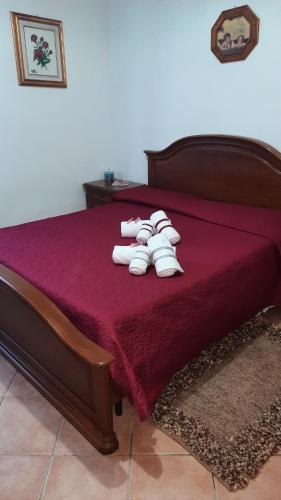 Nizza Monferrato Apartment | Appartamento Giulia