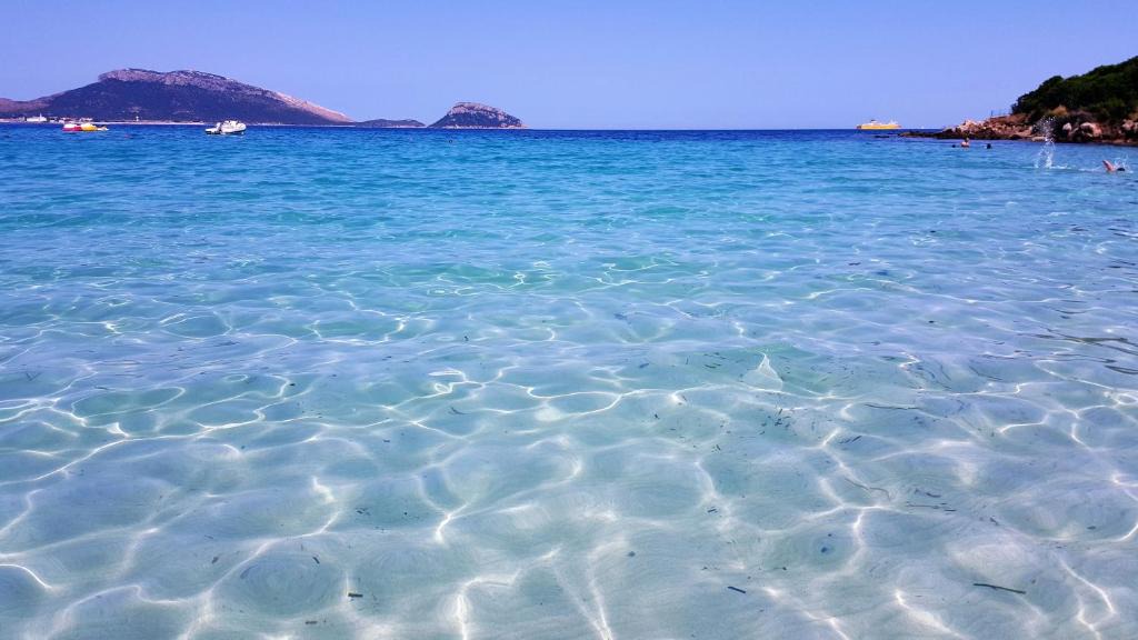 Golfo Aranci Apartment | Appartamento Terrata