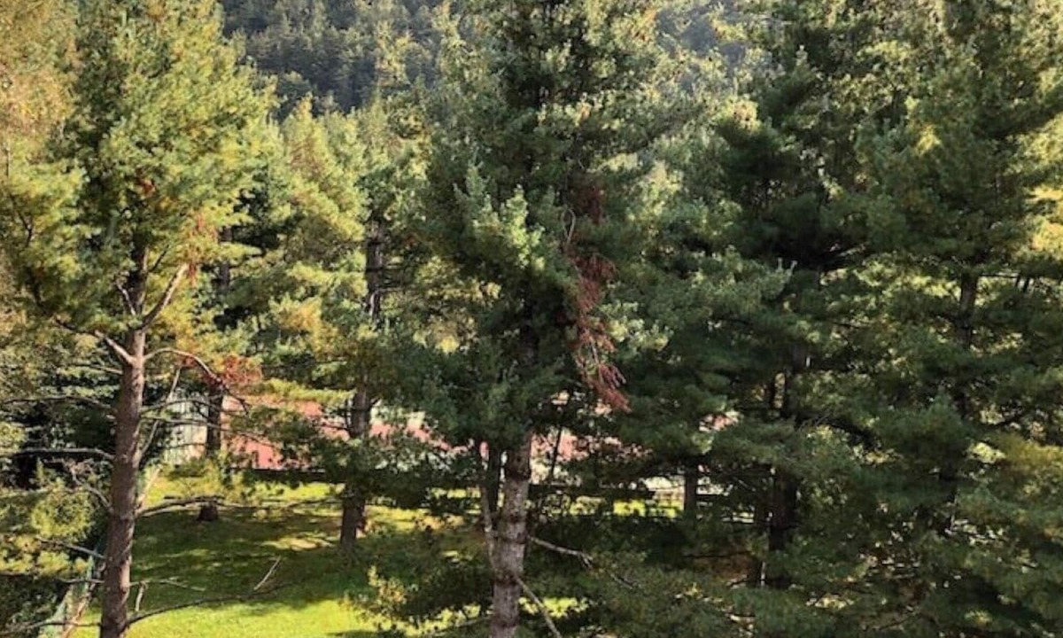 Santa Maria Maggiore Apartment | Attic 1,5 km from the cable car