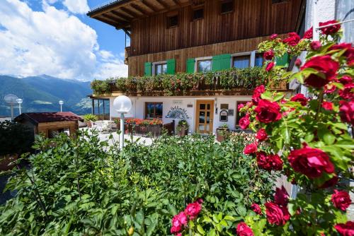 Sluderno Hotel | B & B Apartments Ortlerblick