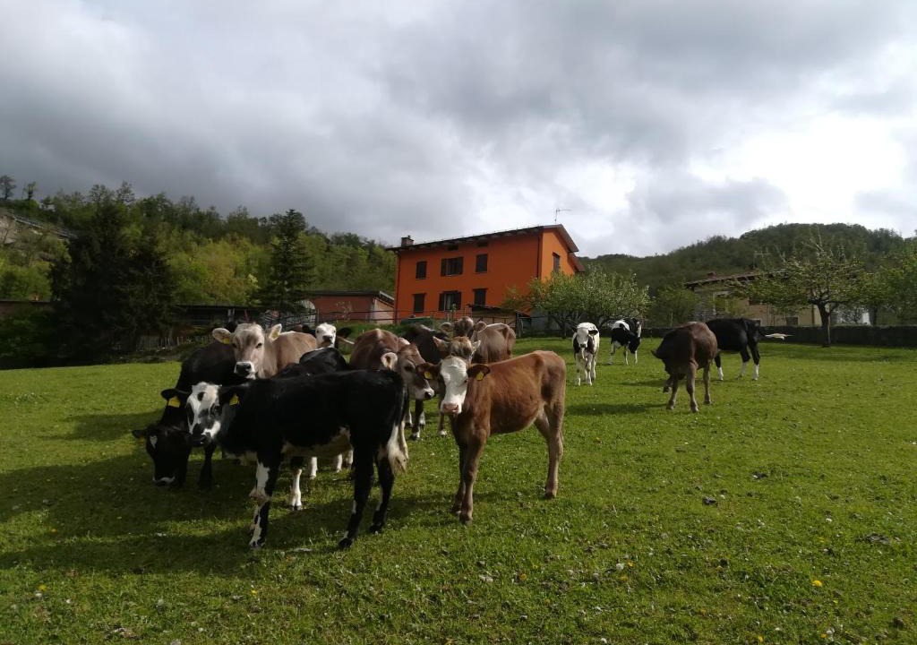 Corniglio Bed & Breakfast | B&B Càsuperchi