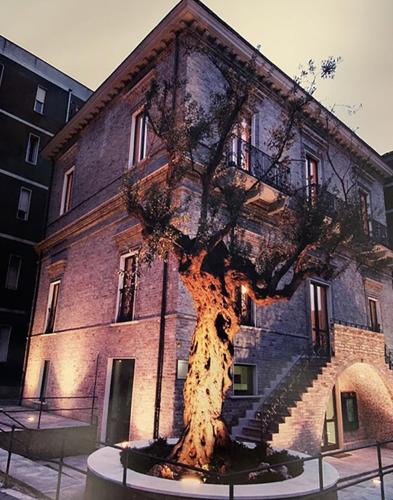 Pineta Bed & Breakfast | B&B Palazzo Storico Di Nicola
