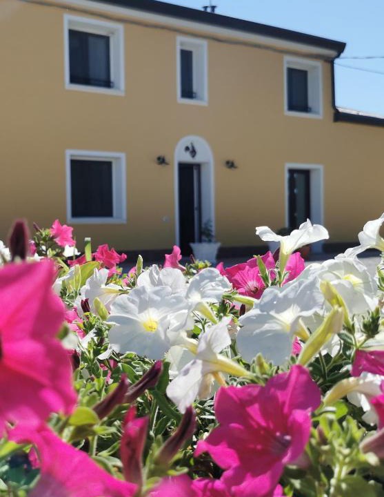 Tresigallo Bed & Breakfast | B&B Riva del Gallo