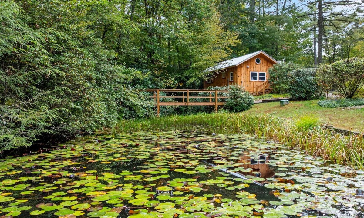 Lake Sequoyah House | Baby Bear's Den, Tiny Paradise