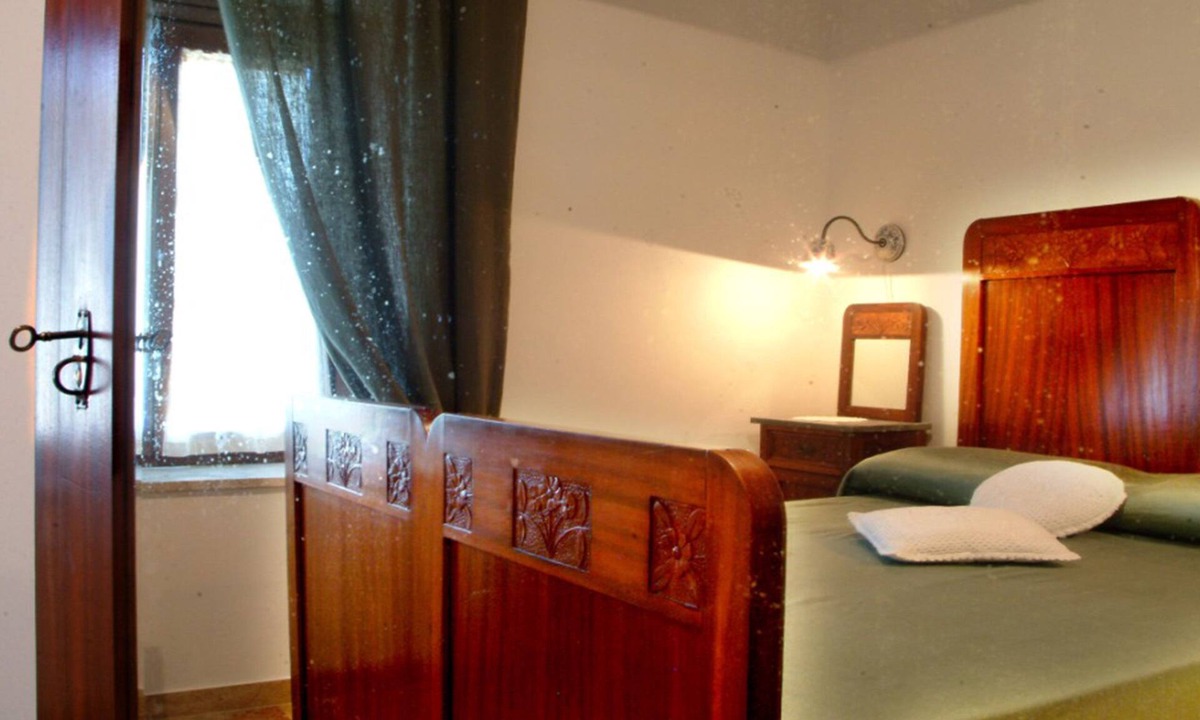 Vigne Other | Belvedere Cramaccioli farmhouse for stays in Umbria in the magnificent Narni
