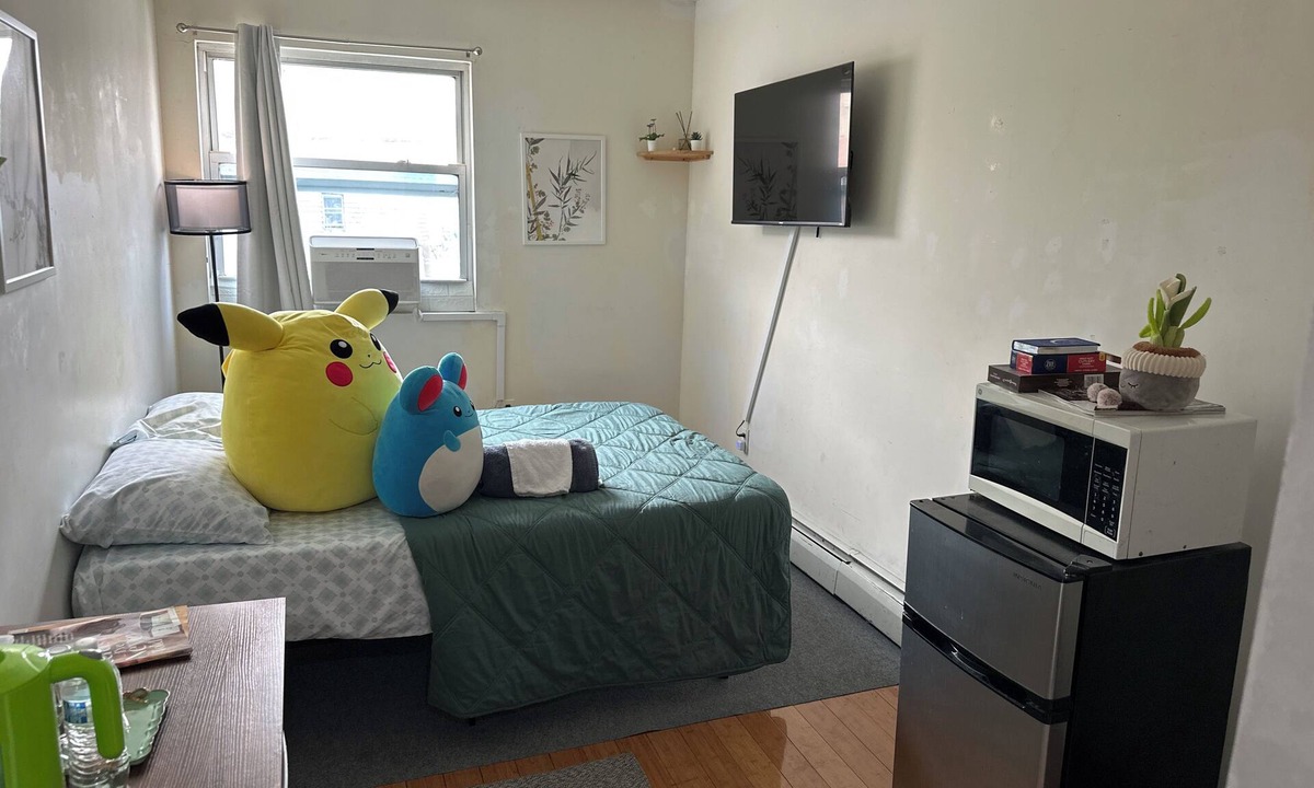 Bushwick Apartment | Bustling bedroom in apartment with WiFi, AC in Bushwick Brooklyn