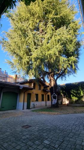Oltrestazione House | Casa del Cedro - Comfort e relax
