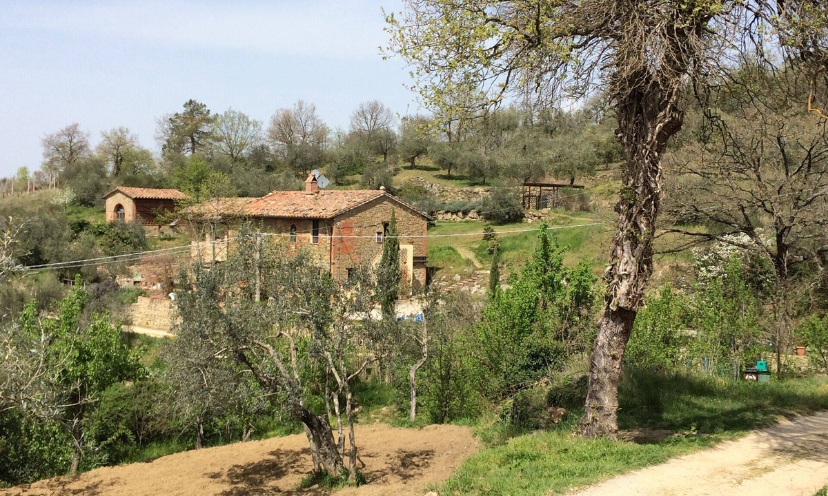 Panicale Other | CASA LORENZO ~ WHOLE FARMHOUSE with stunning large Roman pool set in olive grove
