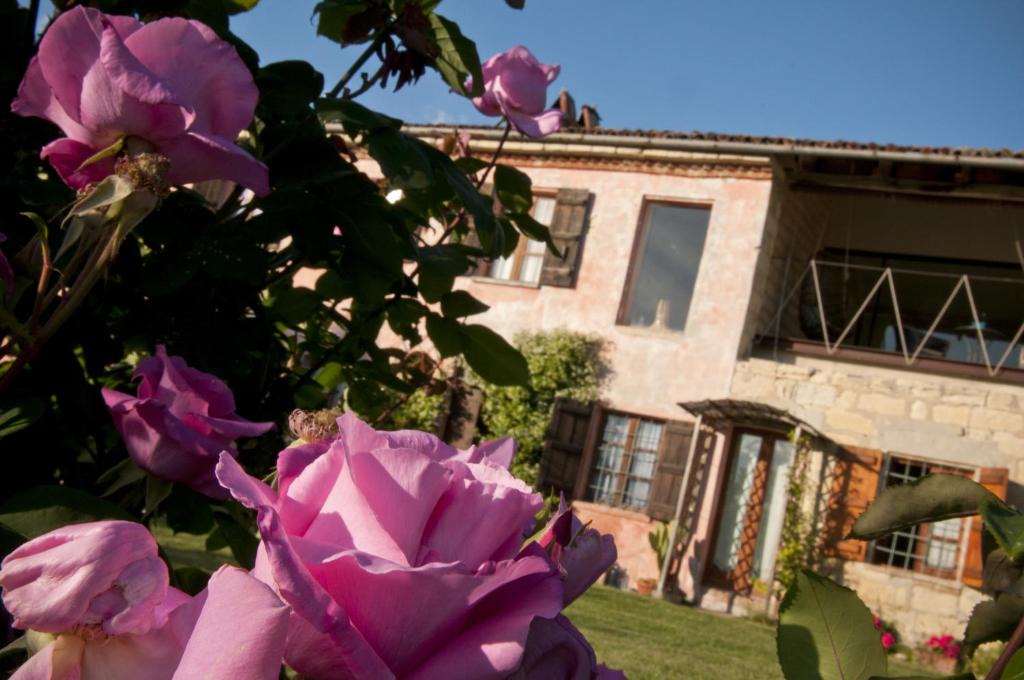 Grazzano Badoglio House | Cascina Rosa B&B