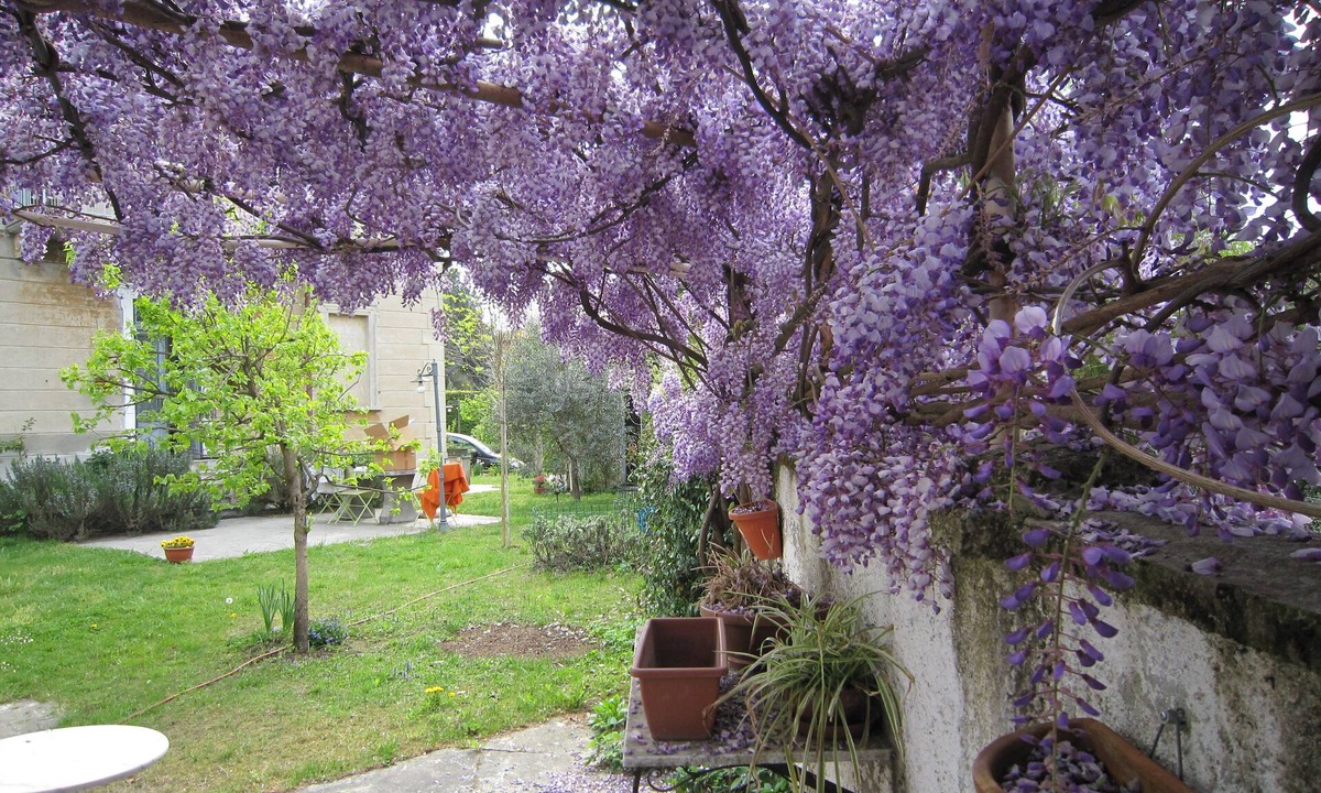 Castelletto Sopra Ticino Villa | Castelletto Sopra Ticino: House / Villa - Castelletto sopra Ticino