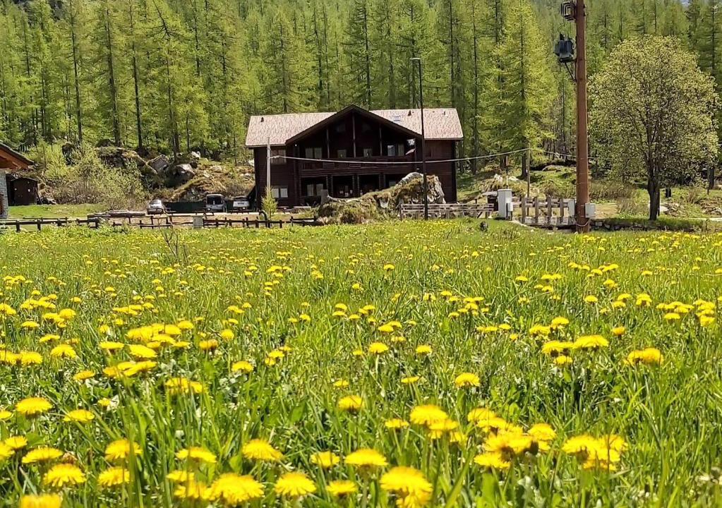 Valprato Soana Hotel | Chalet Rosa dei Monti