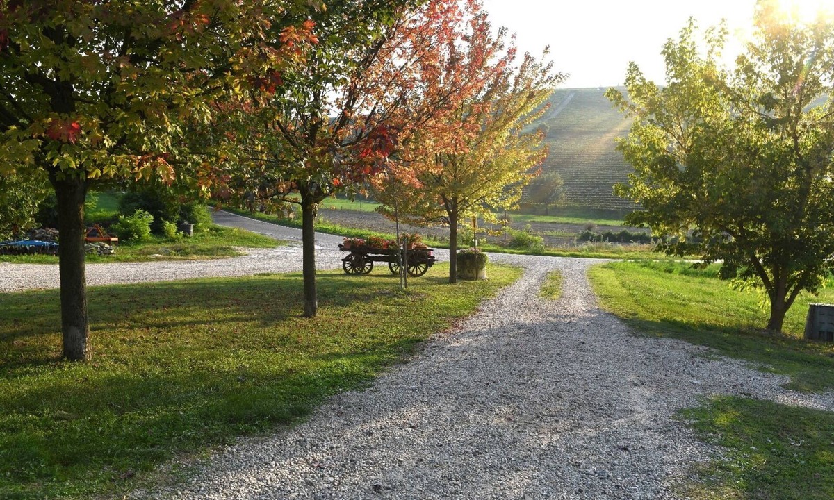 Castiglione Tinella Other | Corner of Paradise among the vineyards