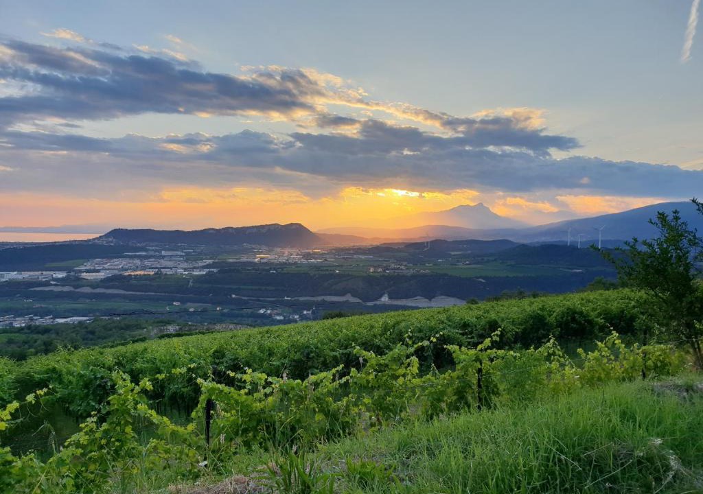 Sant'Ambrogio di Valpolicella House | "Cortela" appartameni in villetta singola