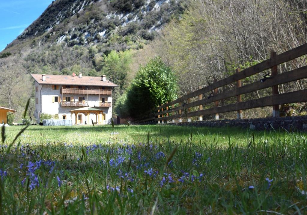 Calavino Apartment | Country House Foglie d'erba