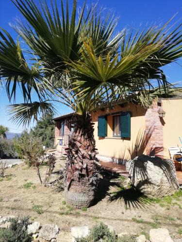 Caltanissetta Apartment | Cozy apartment in Caltanissetta 50 m² with terrace