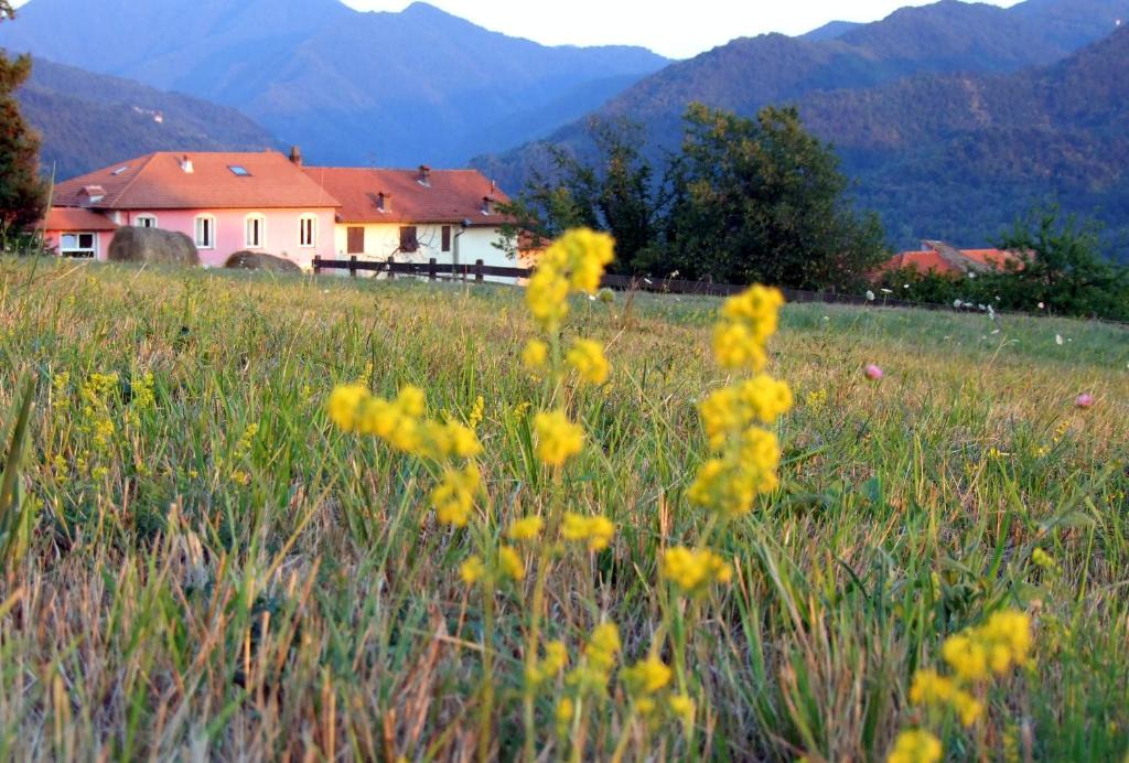Casella Bed & Breakfast | Crocevia Del Sale