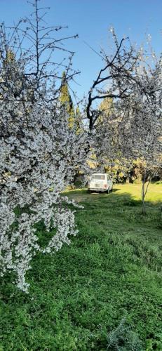 Telti Bed & Breakfast | Domo Mia