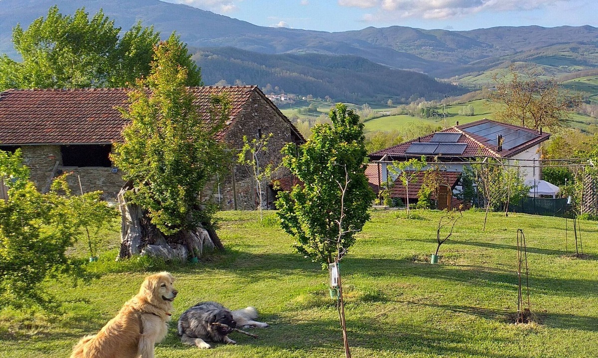 Albareto Apartment | FARM WITH ENCLOSED GARDEN SURROUNDED BY THE WOODS FOR WALKING VIEWS