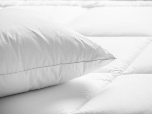 Covington Hotel | Holiday Inn Cincinnati-Riverfront by IHG