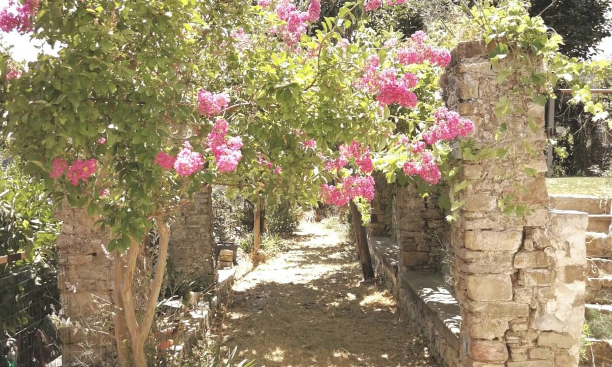 Ogliastro Cilento Apartment | Homerez - Apartment in Finocchito