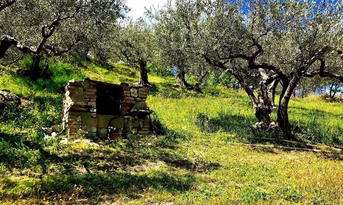 Pennadomo House | I 3 falchi Bed & Breakfast