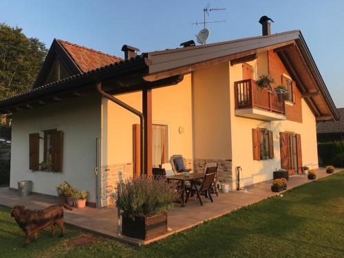 Altopiano della Vigolana Villa | Il bosco accanto