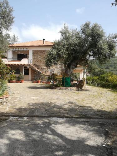 Montecorice Bed & Breakfast | IL CONTE DI MARRAONE