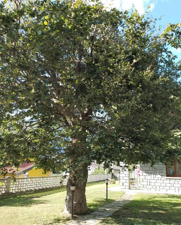Cuzzego Bed & Breakfast | Il Faggio