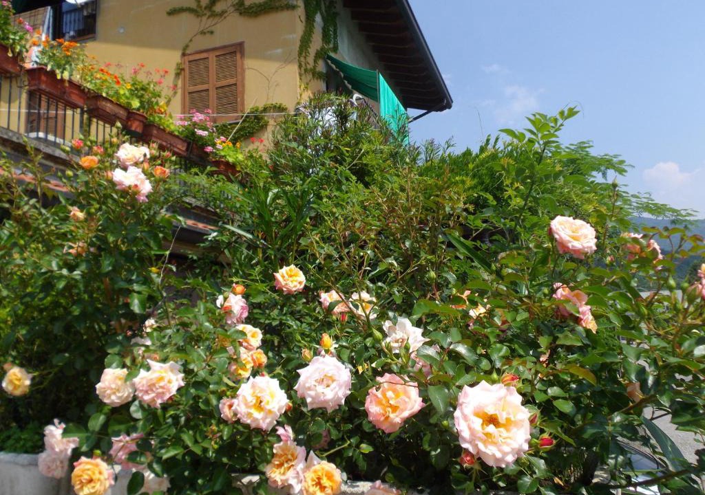 Olgiate Molgora Bed & Breakfast | Il Giuggiolo