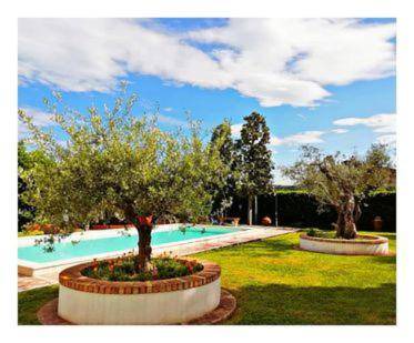 Grottammare Bed & Breakfast | 14 m² Bed and breakfast ∙ 2 guests