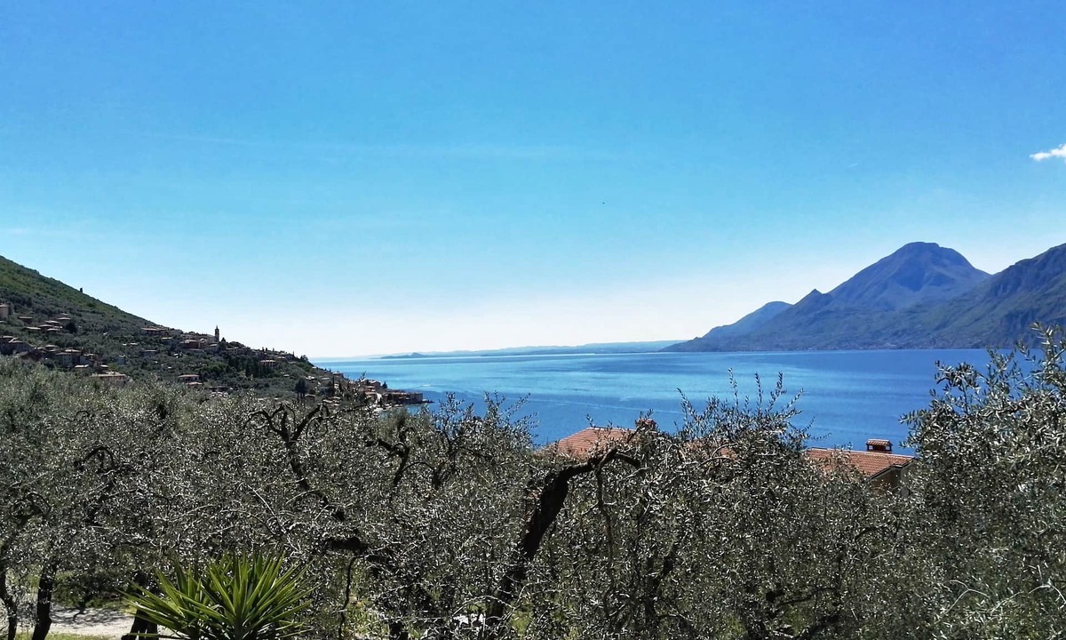 Assenza Apartment | SOLE: Welcoming apartment , relaxation,lake mountains olive grovess.